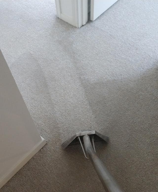 Cleaning Services