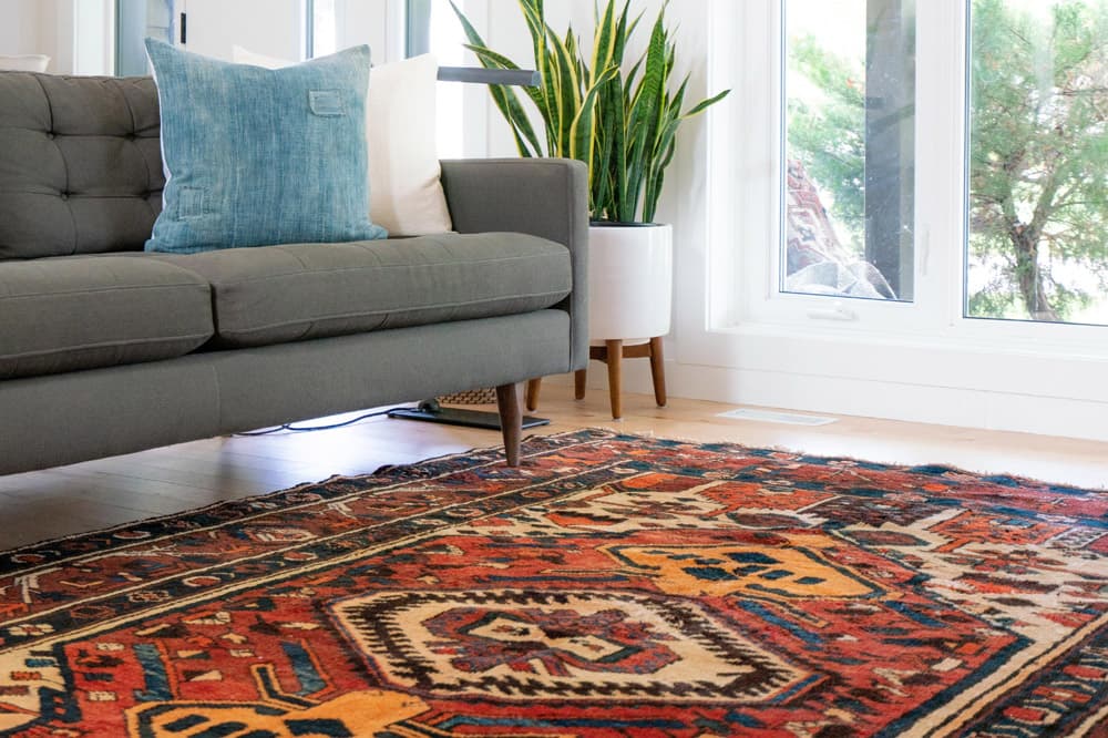 carpet cleaner