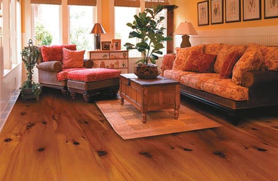 sugar land carpet cleaning
