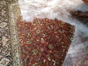 Carpet Service